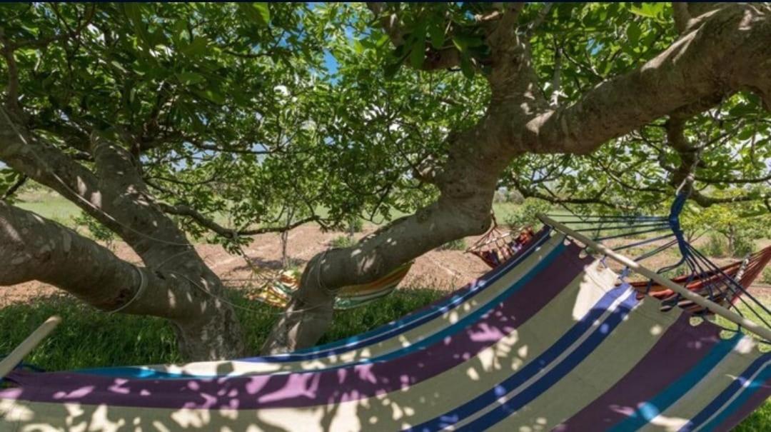 Le Cernicole Villa Melissano Eksteriør billede