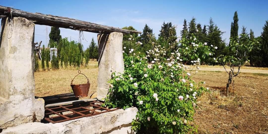 Le Cernicole Villa Melissano Eksteriør billede